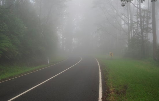 Dense Fog in Middle Tennessee Causes I-840 Closure and School Delays