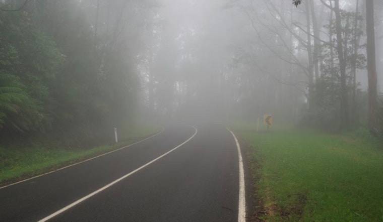 Dense Fog in Middle Tennessee Causes I-840 Closure and School Delays