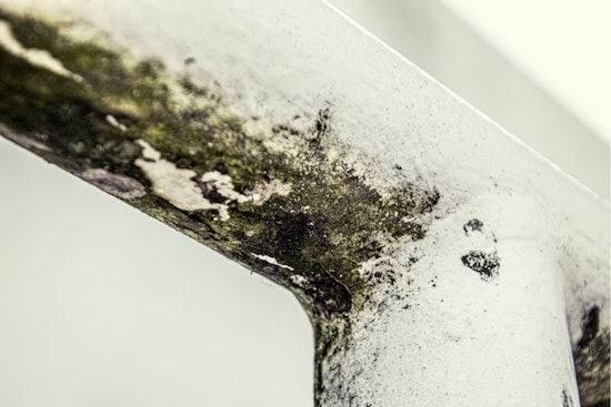 Denver Mom Says Moldy Apartment Is Making Her Kid Sick