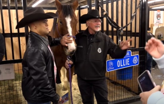 VIDEO: Denver Police Mounted Patrol Engages Community at 120th National Western Stock Show
