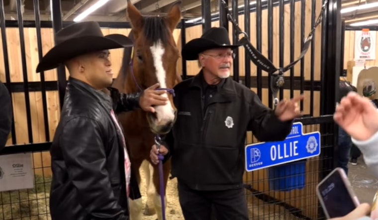 VIDEO: Denver Police Mounted Patrol Engages Community at 120th National Western Stock Show