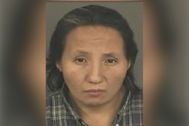 Denver Police Seek Community Help to Find Missing Woman Melissa Ironshield Last Seen on N. Broadway Boulevard