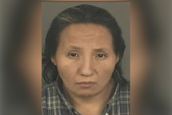 Denver Police Seek Community Help to Find Missing Woman Melissa Ironshield Last Seen on N. Broadway Boulevard