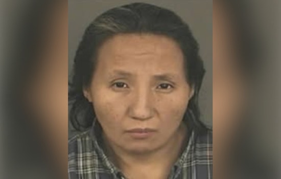 Denver Police Seek Community Help to Find Missing Woman Melissa Ironshield Last Seen on N. Broadway Boulevard