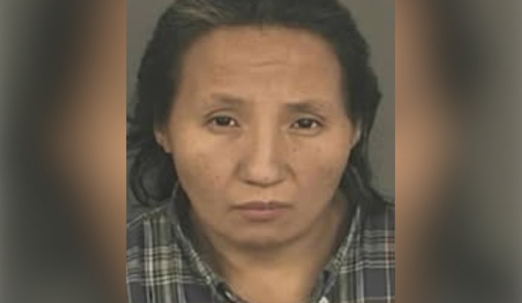 Denver Police Seek Community Help to Find Missing Woman Melissa Ironshield Last Seen on N. Broadway Boulevard