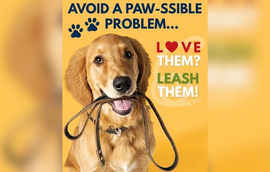 Denver Police Urge Residents to Leash Dogs for Winter Park Safety