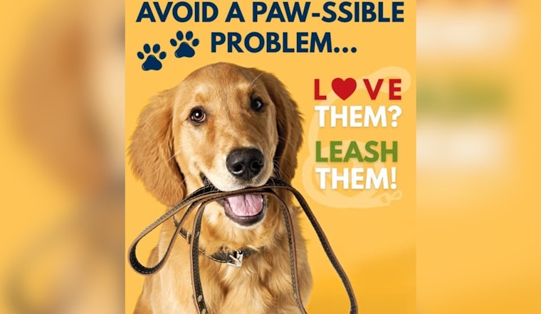 Denver Police Urge Residents to Leash Dogs for Winter Park Safety