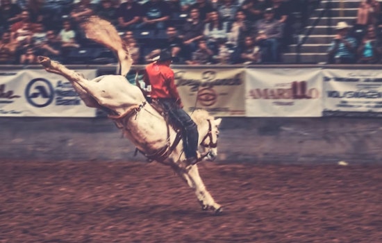 Denver’s Bill Pickett Rodeo Rides Off From National Western After Nearly 20-Year Run