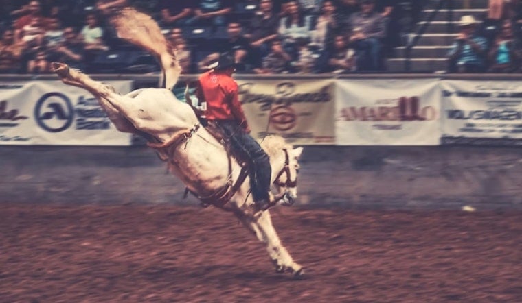 Denver’s Bill Pickett Rodeo Rides Off From National Western After Nearly 20-Year Run