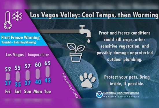 Desert Shiver, Las Vegas Valley Braces For First Freeze Of The Season