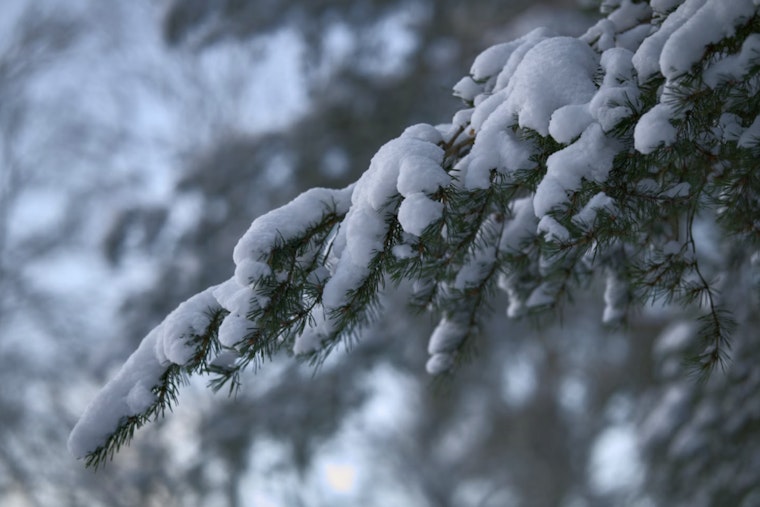 Detroit Braces for 100% Chance of Snowfall, Harsh Winter Conditions Persist
