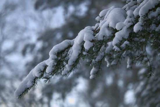 Detroit Braces for 100% Chance of Snowfall, Harsh Winter Conditions Persist