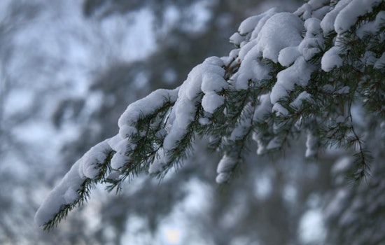Detroit Braces for 100% Chance of Snowfall, Harsh Winter Conditions Persist