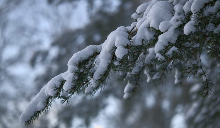 Detroit Braces for 100% Chance of Snowfall, Harsh Winter Conditions Persist