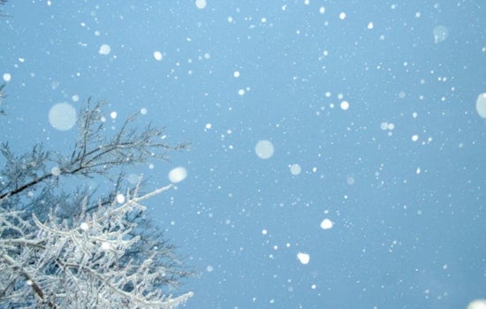 Detroit Braces for a Mix of Snow and Subzero Chill, Clear Skies Expected Later in the Week