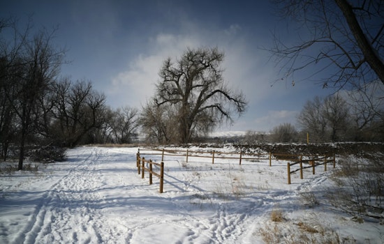 Detroit Braces for Snow, Rain, and Warmer Temps in a Week of Variable Weather Conditions