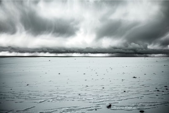 Detroit Braces for Snow Showers and Chilly Winds, M.L.King Day May See Snowfall