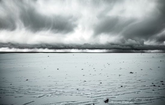 Detroit Braces for Snow Showers and Chilly Winds, M.L.King Day May See Snowfall