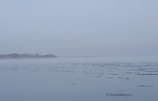 Detroit Braces for Varied Weather: Rain, Fog, and a Glimpse of Sun in the Forecast