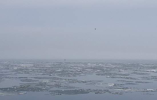 Detroit Braces for Weather Whiplash: Fog, Rain, and Potential Snow on the Horizon