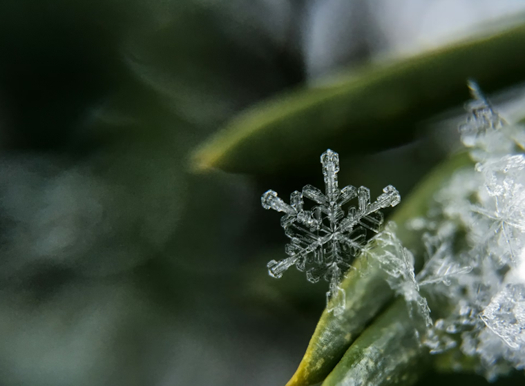 Detroit Braces for Wintry Mix with Snow and Rain, Chilly Week Ahead