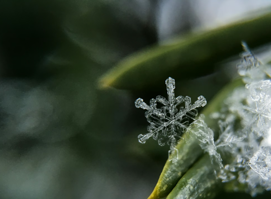 Detroit Braces for Wintry Mix with Snow and Rain, Chilly Week Ahead