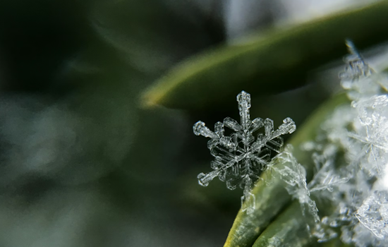 Detroit Braces for Wintry Mix with Snow and Rain, Chilly Week Ahead