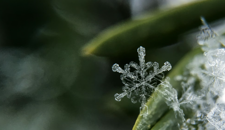 Detroit Braces for Wintry Mix with Snow and Rain, Chilly Week Ahead