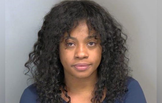 Detroit Mother Sentenced to Probation for False Bomb Threats at Macomb County School
