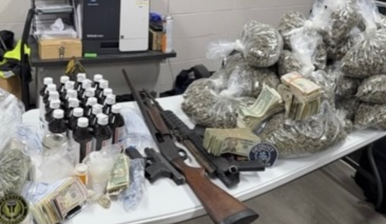 Detroit Police Confiscate $172,000 Worth of Drugs and Arms in Coordinated Raids on Gang-Operated Locations