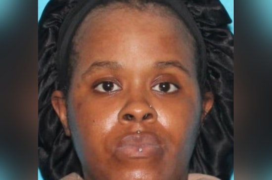 Detroit Police Request Community Help to Find Missing 23-Year-Old Safaria Steele
