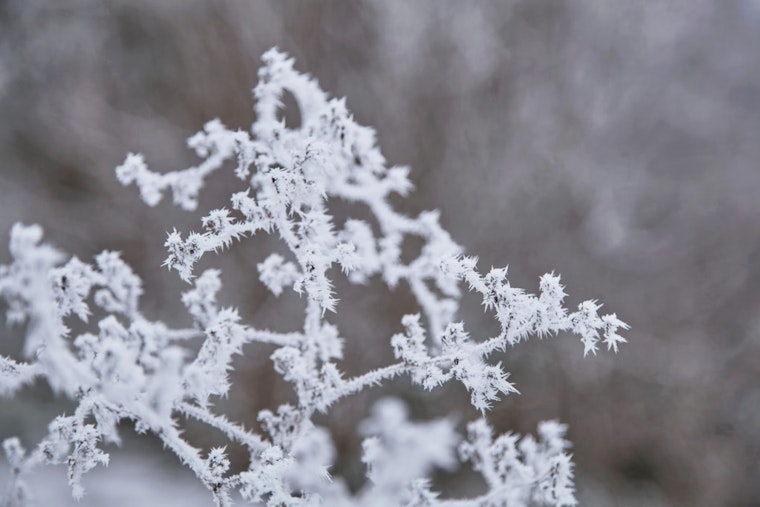 Detroit Weather Forecast Shows Snow, Rain, and Fluctuating Temperatures Ahead