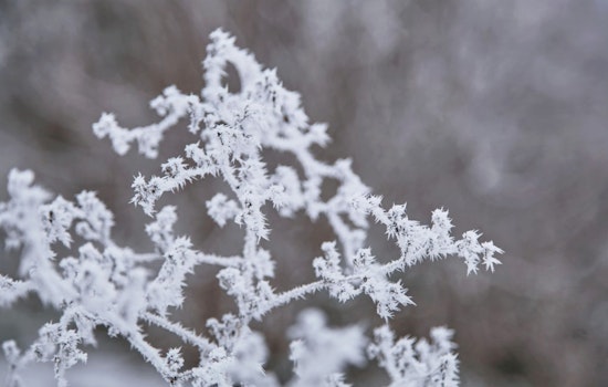 Detroit Weather Forecast Shows Snow, Rain, and Fluctuating Temperatures Ahead