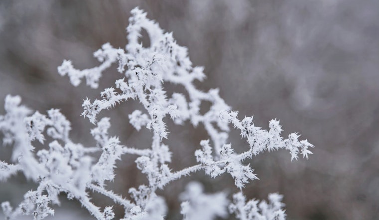 Detroit Weather Forecast Shows Snow, Rain, and Fluctuating Temperatures Ahead