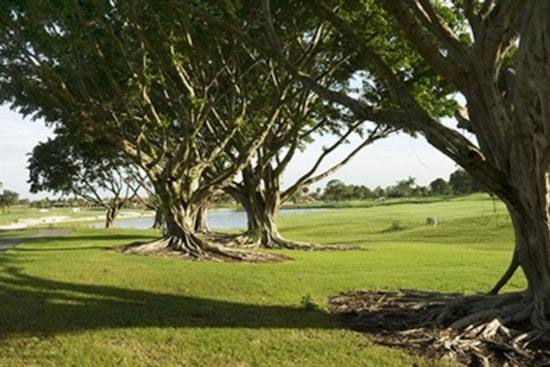 Doral Earns Tree City USA Distinction for 18th Consecutive Year, Affirming Commitment to Urban Forestry