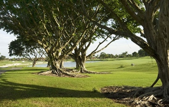 Doral Earns Tree City USA Distinction for 18th Consecutive Year, Affirming Commitment to Urban Forestry