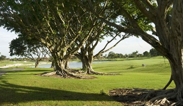 Doral Earns Tree City USA Distinction for 18th Consecutive Year, Affirming Commitment to Urban Forestry