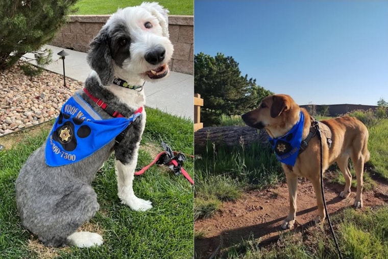 Douglas County Sheriff's Office Engages Community with "Woof Watch" Dog-Assisted Policing Initiative