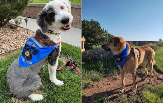 Douglas County Sheriff's Office Engages Community with "Woof Watch" Dog-Assisted Policing Initiative