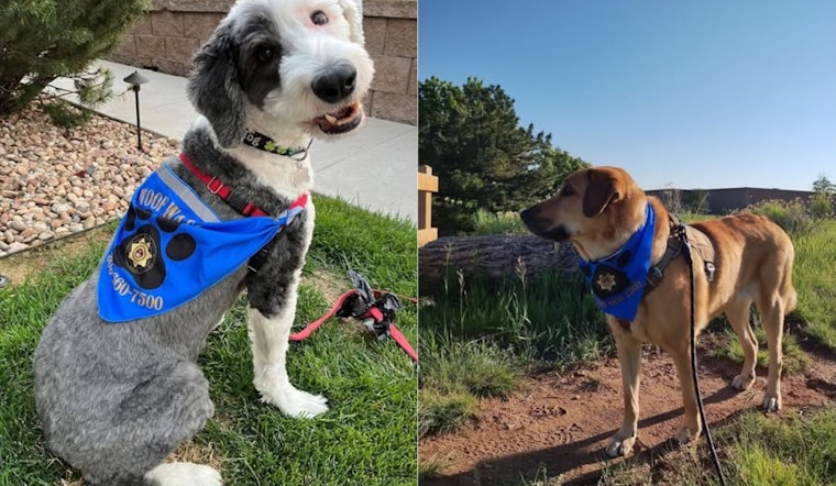 Douglas County Sheriff's Office Engages Community with "Woof Watch" Dog-Assisted Policing Initiative