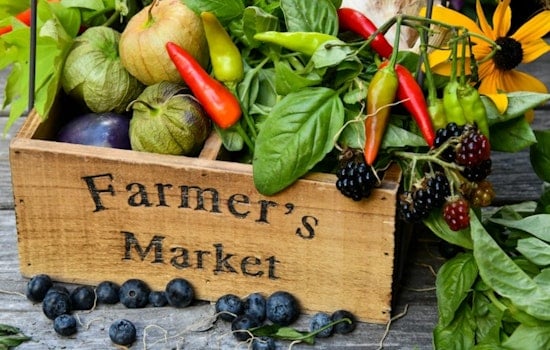 Downtown Farmers Market May Be Kicked From Pioneer Park This Summer