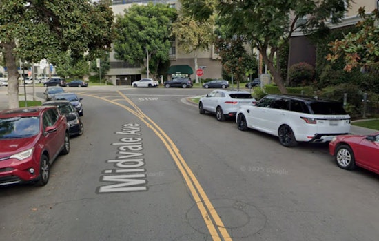 Driver Detained After U-Haul Truck Plows into Crowd of Iranian Solidarity Protesters in Westwood, Los Angeles