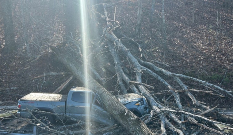 Driver Unharmed After Tree Falls on Truck in West Knox County, Rural Metro Fire Crews Conduct Prompt Rescue