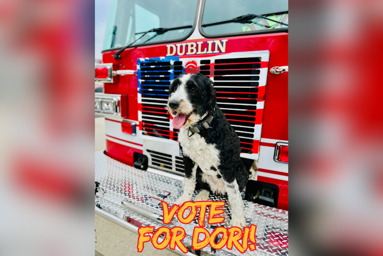 Dublin's Beloved K9 Dori Competes for 'Fur Responder' Title, Washington Township Fire Department Rallies Community Support