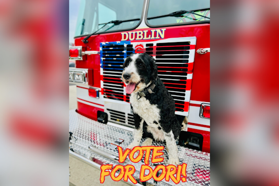 Dublin's Beloved K9 Dori Competes for 'Fur Responder' Title, Washington Township Fire Department Rallies Community Support