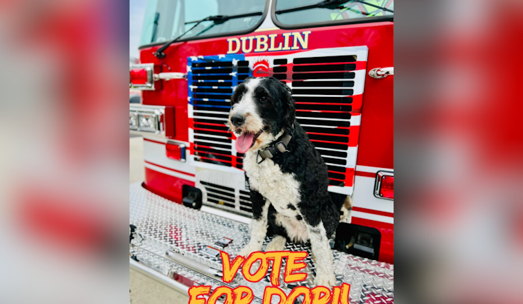 Dublin's Beloved K9 Dori Competes for 'Fur Responder' Title, Washington Township Fire Department Rallies Community Support