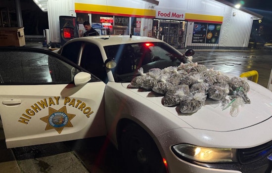 DUI Stop Near Modesto Turns Into 15-Pound Pot Bust, CHP Says