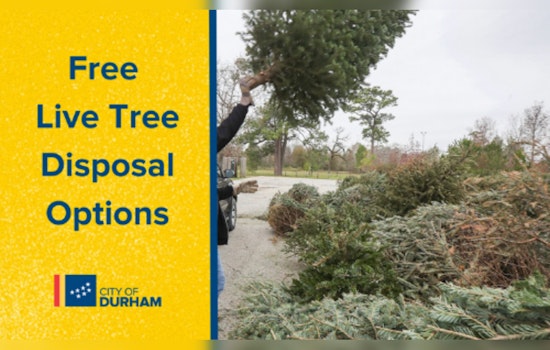 Durham Offers Convenient and Free Christmas Tree Disposal Options to Residents