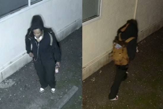El Cerrito Police Seek Public's Help to Identify Suspect in Lexington Avenue Burglary