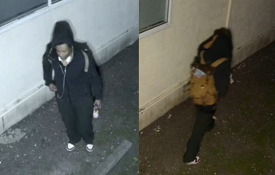 El Cerrito Police Seek Public's Help to Identify Suspect in Lexington Avenue Burglary